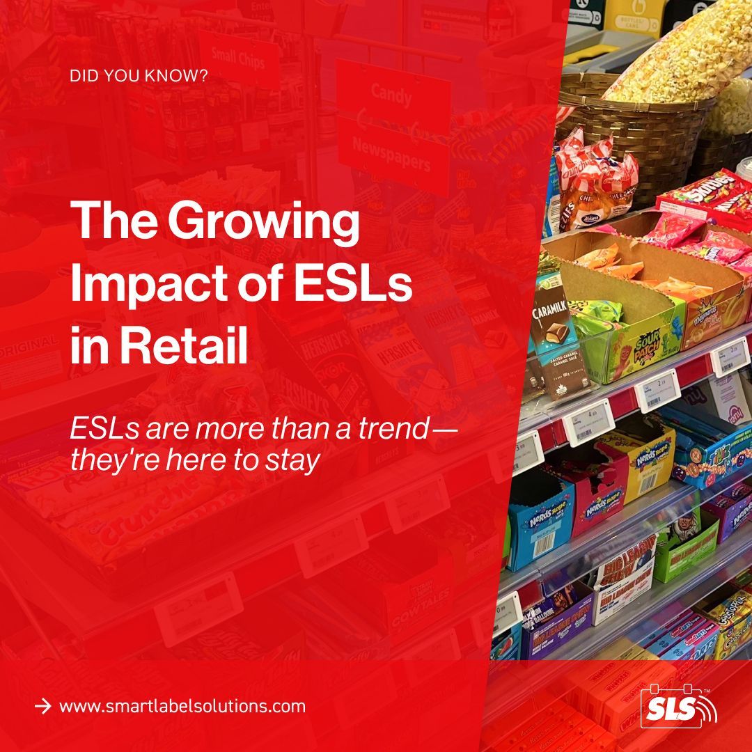 SmartLabelSol's tweet photo. 💡 ESLs are transforming retail! From real-time price updates to smoother checkouts &amp; smarter inventory, they're reshaping the grocery game. 🛒✨

Learn more: https://t.co/th9UkOqVCw https://t.co/cG4qMGspYL