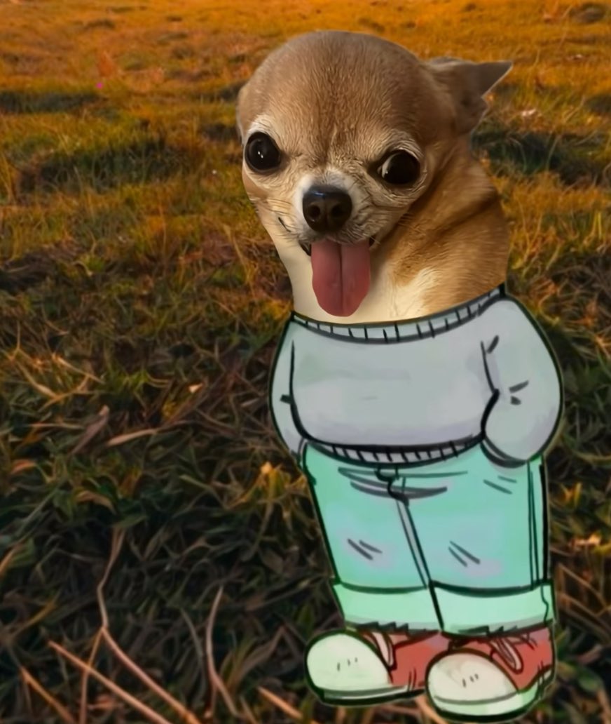 seriousembakker's tweet photo. @cryptolyxe $FINONKA most viral dog on tiktok funny asf 

B7eJVeZGXg9BFkpPduQN1wS453YknMux9nQT3vbJpump https://t.co/ev20FRzvcK