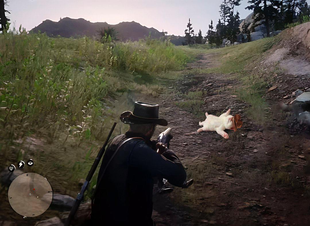 $DED CAT tweet media