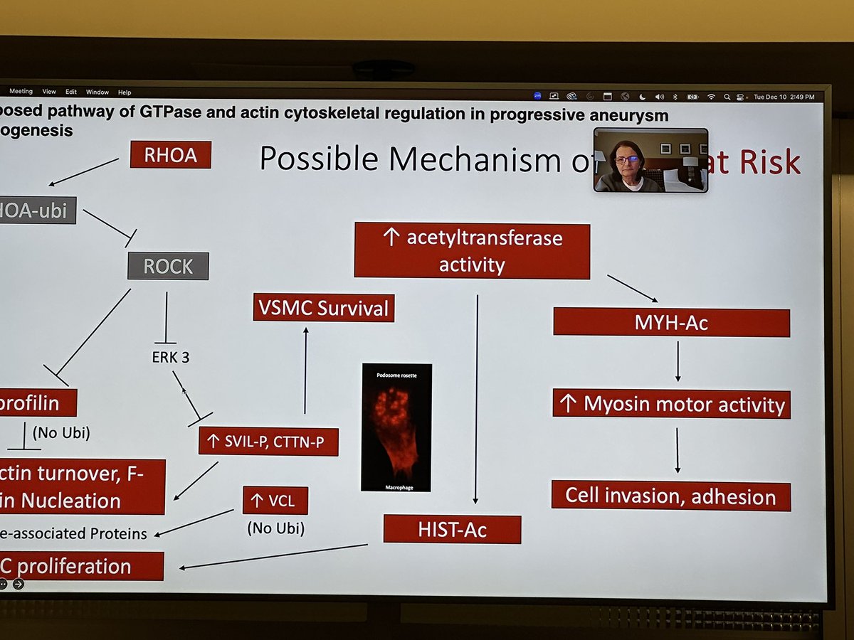 Maral Ouzounian (@ouzounianmd) on Twitter photo HUGE congrats to my brilliant student <a href="/MElbatarny/">Malak Elbatarny</a> <a href="/UofTSurgery/">U of T Department of Surgery</a> who had a stellar defense today of an outstanding PhD.
Thank you to Co-Supervisor Tony Gramolini, external <a href="/scottlemaire/">Scott LeMaire</a> & all who participated
Bravo Malak!!! 👏🏼👏🏼👏🏼 Cardiac Surgeon Scientist in the making HUGE congrats to my brilliant student <a href="/MElbatarny/">Malak Elbatarny</a> <a href="/UofTSurgery/">U of T Department of Surgery</a> who had a stellar defense today of an outstanding PhD.
Thank you to Co-Supervisor Tony Gramolini, external <a href="/scottlemaire/">Scott LeMaire</a> & all who participated
Bravo Malak!!! 👏🏼👏🏼👏🏼 Cardiac Surgeon Scientist in the making