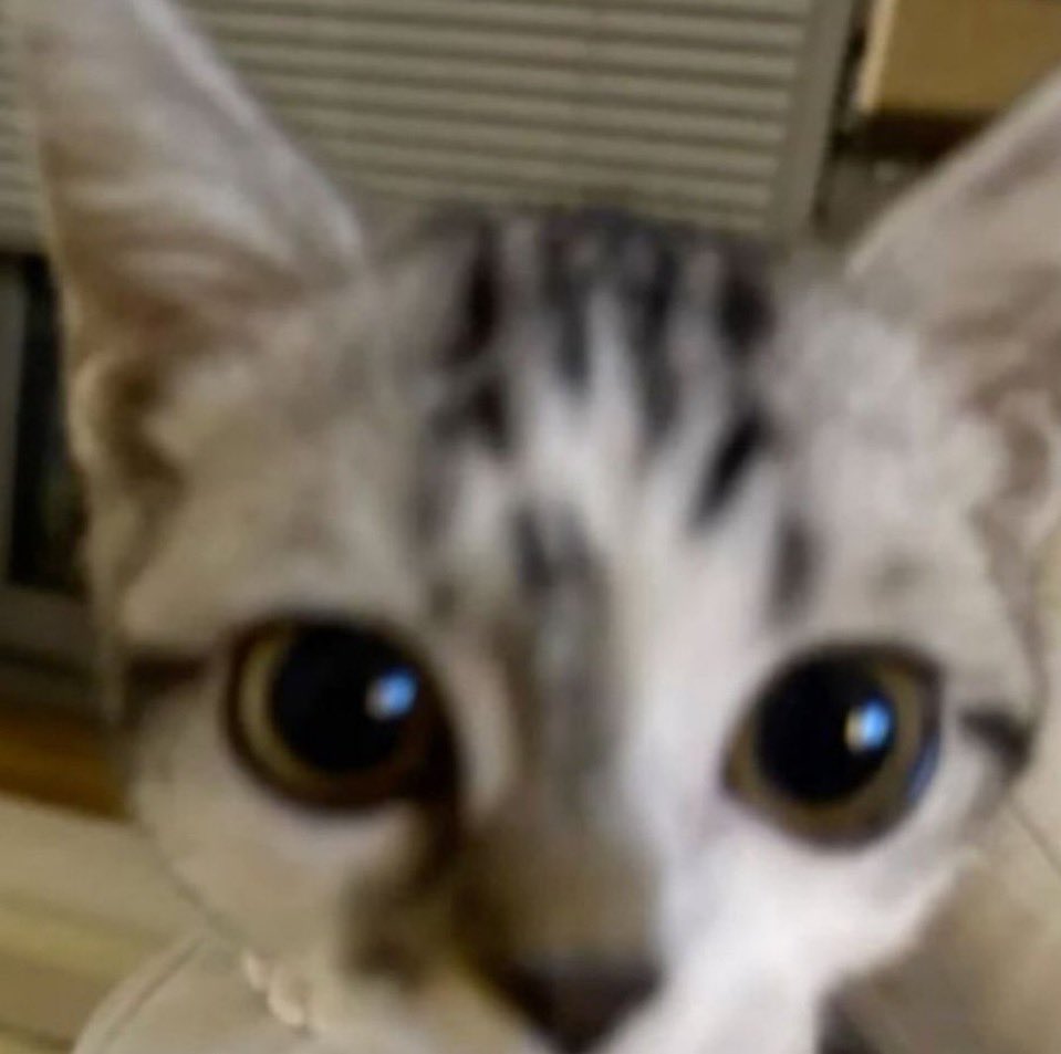 merxndaa's tweet image. can i come and stare at u like this