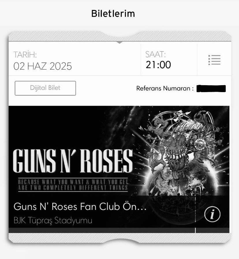 2025’i simdiden zirvede bırakıyorum. baska bir konser icin aramayın, ararsam acmayın.