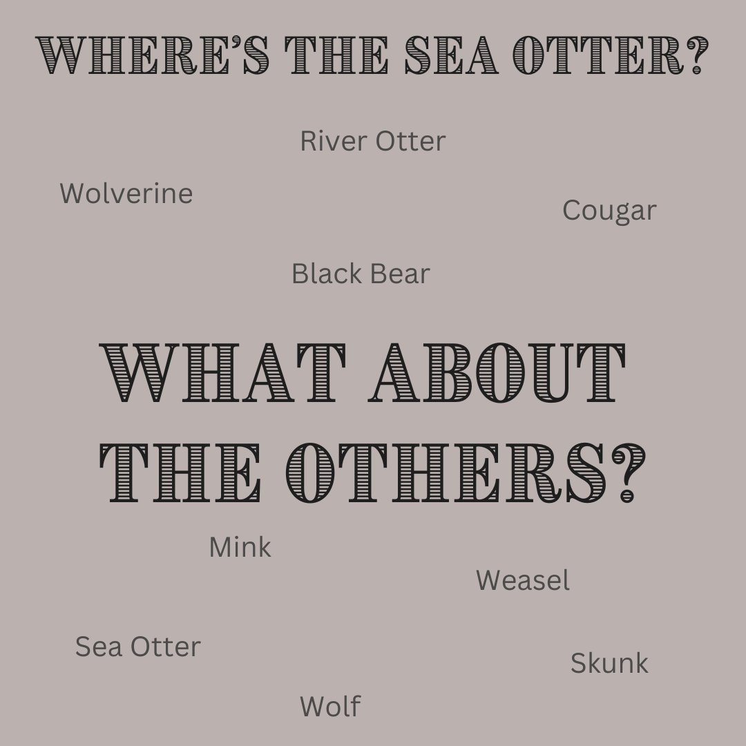 SeaOtterSavvy's tweet photo. Animal tracks are important because they provide valuable information about animals and their habitats:
Identify species
Learn about behavior
Understand population size
Study ecological interactions
#trackingtuesday https://t.co/qlpOkHCfUp