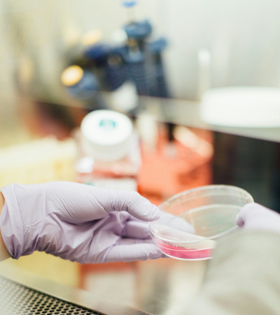 Hebei Medical University scientists developed a unique bioink composed of porcine vaginal #ECM, gelatin methacrylamide, and silk fibroin to facilitate the bioprinting of a vaginal scaffold. 🔬

Learn more at <a href="/Biofabrication/">BF</a>! 

🔖 bit.ly/4gbffkK