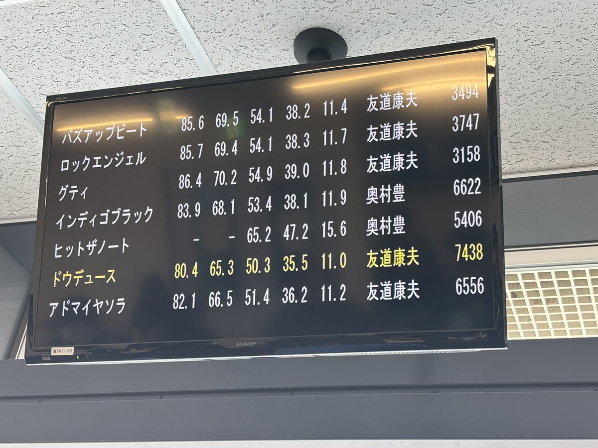 hochi_mnm's tweet photo. ドウデュースの1週前追い切りが終わりましたよ🏇武豊騎手騎乗です

#ドウデュース #有馬記念 https://t.co/1MJB9znV0h