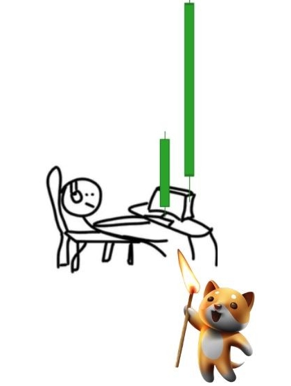 #BabyDoge big burn coming !!!
