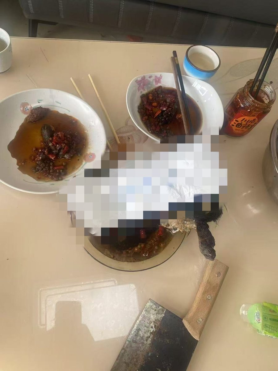PhaedraXTeddy's tweet photo. This is no meal. It's a threatening photo of adopted kitten that 4 Chinese cat killers set on sanitary napkin after burning him alive. They sent photo and threat to the previous owner.
Chinese posted mutilated kitten on dirty 🔴 sanitary products. This is entertainment in #China, and legal!
"I am beyond angered by the barbaric and foolish behaviour of some young people in China.
Disregard for life, disregard for women.
I don't know what it means, but
On top of the slaughtered kitten,
It contained items that women use #OnceAMonth."
#中国に動物虐待禁止法の制定を求める
#動物愛護に国境はない
@ChinaDaily

@XinhuaChinese

@Echinanews

@ChineseWSJ