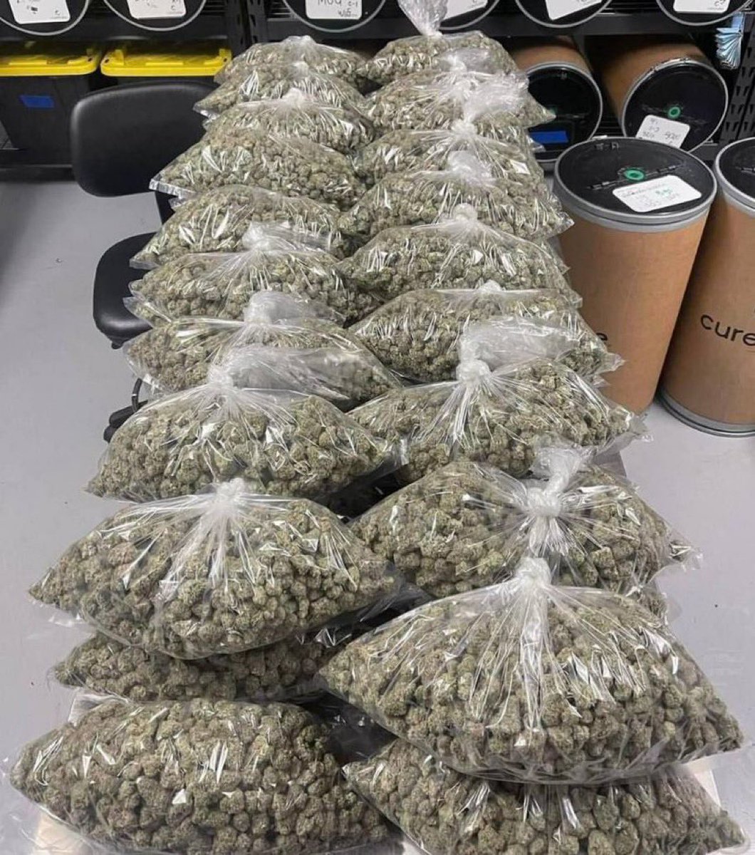 DramsPerry90545's tweet image. Giveaway 

Like 
Comment 
Repost 

You payment for shipping ✊