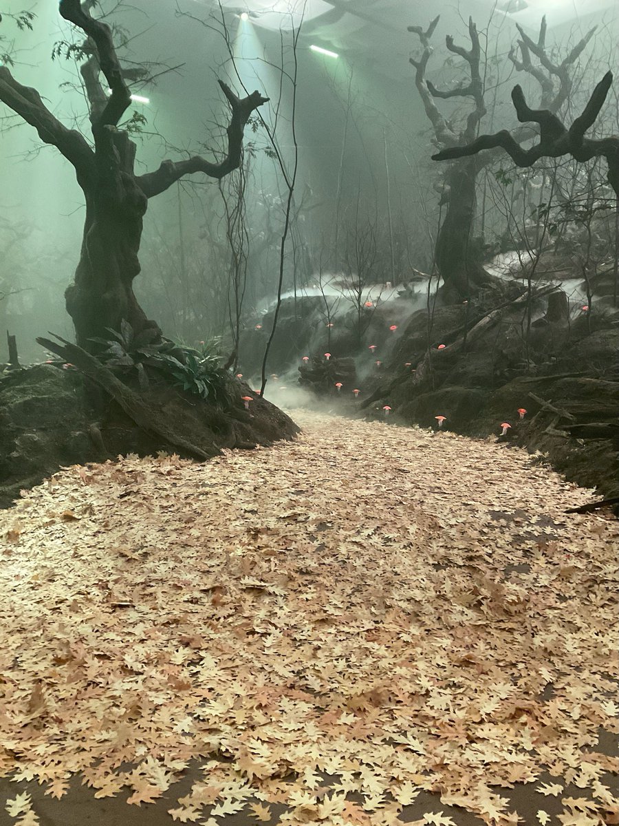 ScarletWitchUpd's tweet image. New look at the Witchesʼ Road set in #AgathaAllAlong.