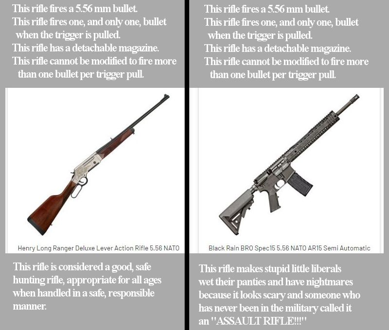 QPhysics137's tweet photo. Anyone who refers to a semiautomatic rifle as an "assault weapon" is too stupid to be allowed to take part in any discussion about guns.

#guncontrol #2A 
#assaultweapon #assaultrifle https://t.co/fgizXqqy8L