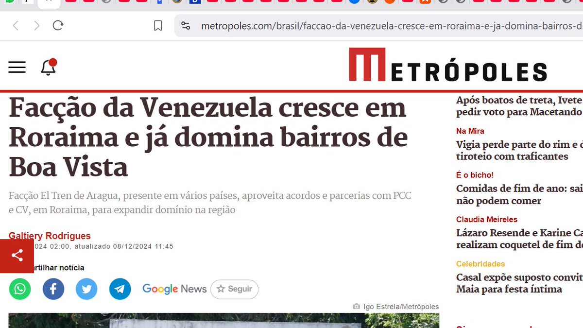 Paula Schmitt tweet media