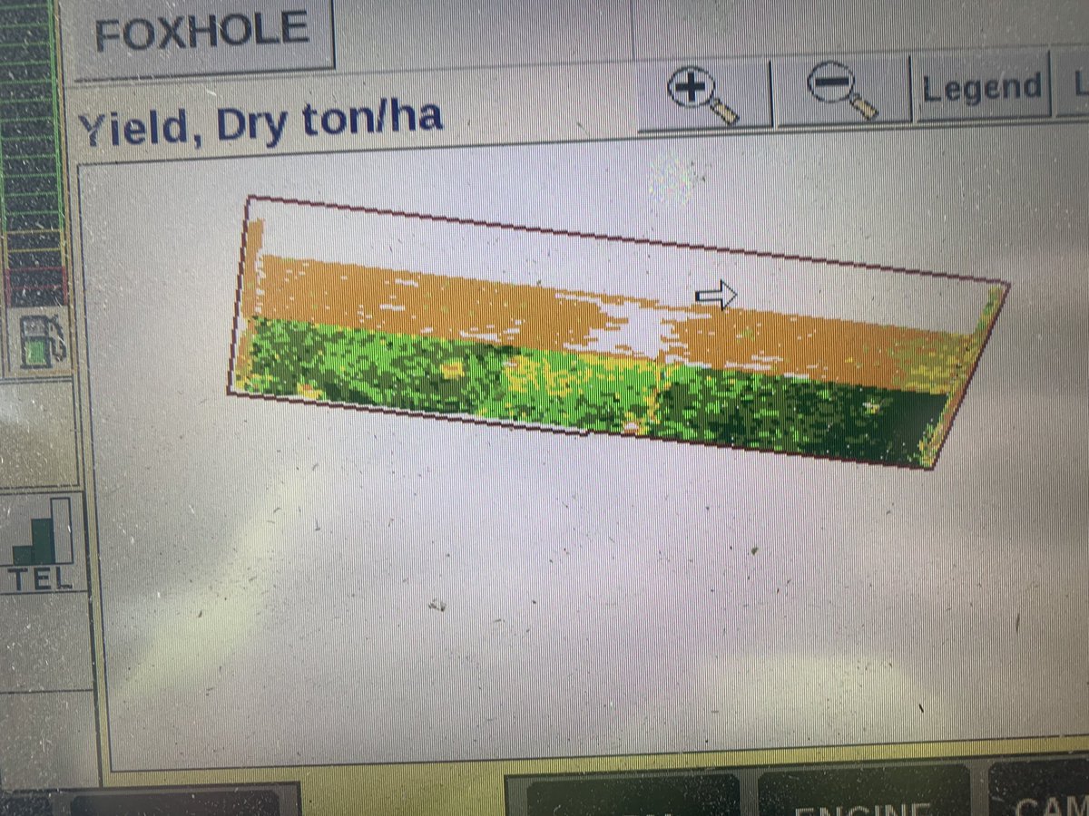 Daniel Fox tweet media