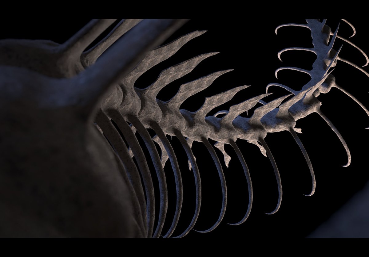 anarchylily's tweet photo. Day/1044 #dailydrawing #c4d #octanrender #procreate bones https://t.co/m8TRbUlsPK
