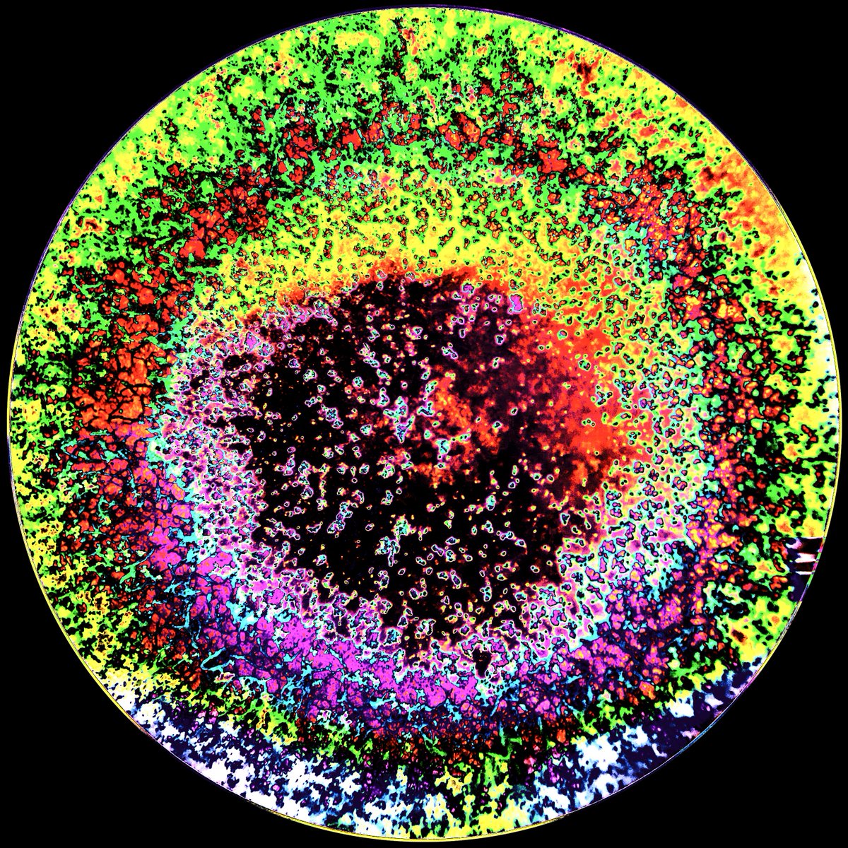 Super proud to be part of #ArtLife2 exhibition at
<a href="/foster_protocol/">Foster</a> 🥳

Last year was already amazing. Let's continue the fun 🤝. Big thanks to <a href="/The_AO8/">AlphaOmega8</a> for making it possible 🎉

My piece "Microcosmic Metropolis":
Bacteria colonies under the 🔬

Buy now: 1 sol 👇