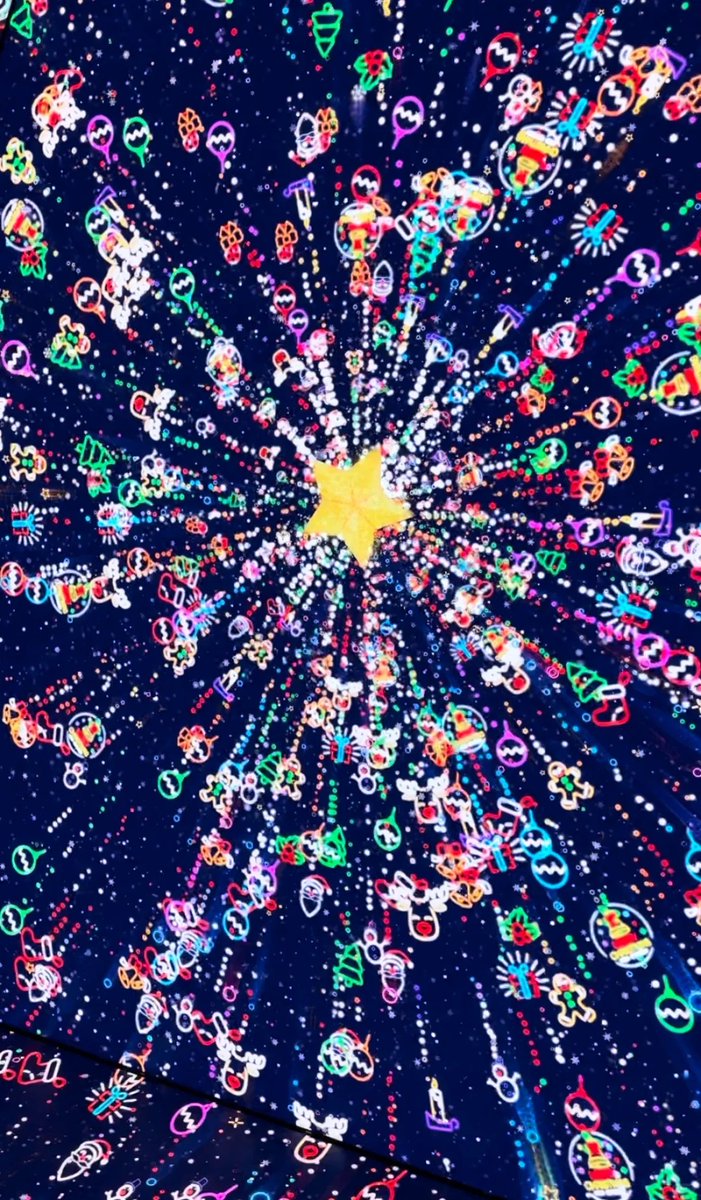 "A mesmerizing indoor display of colorful butterflies filling the air, creating a magical atmosphere."