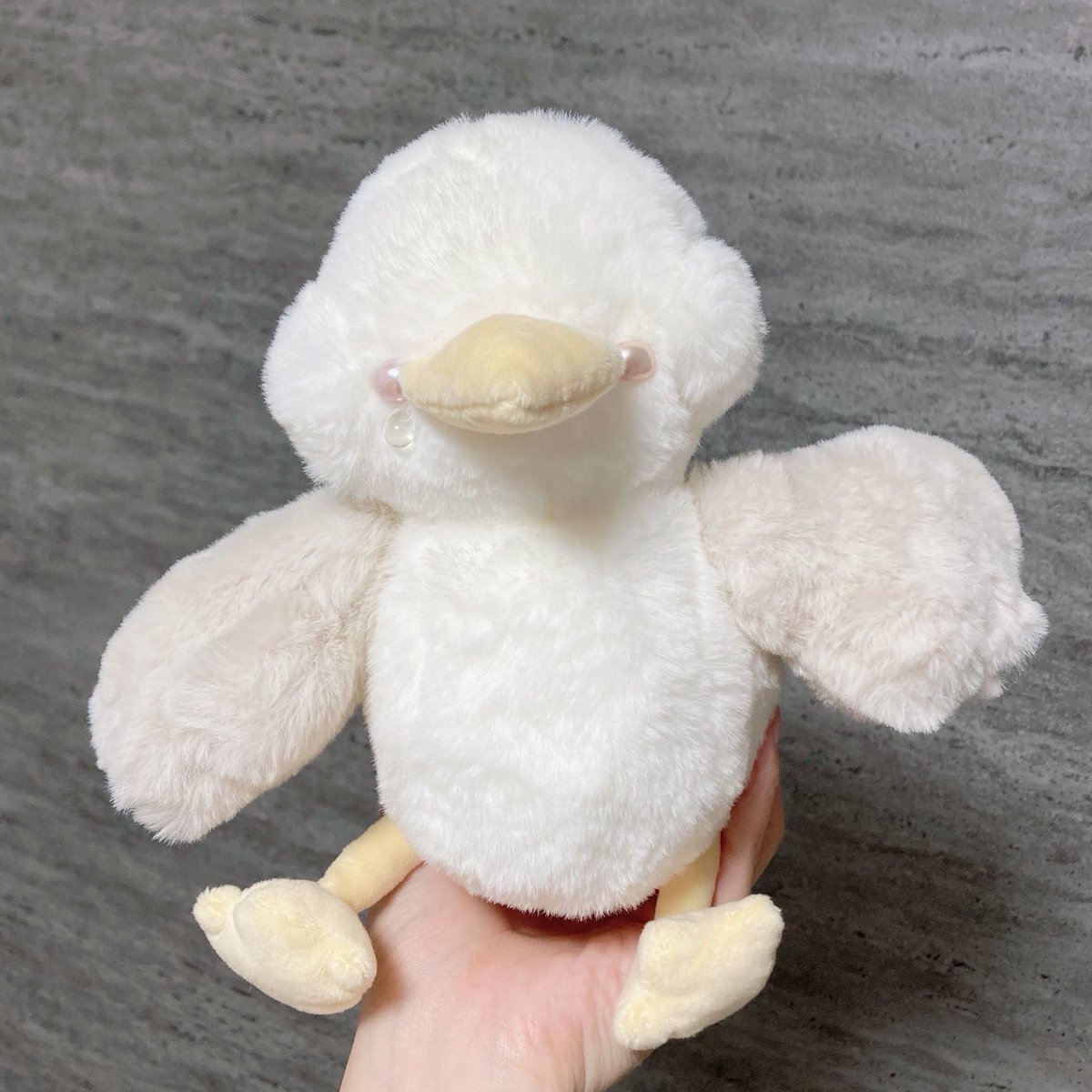 はか（ぬいぐるみ作る人） tweet media