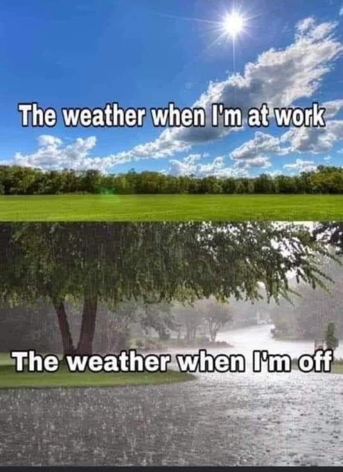 rubyjade654's tweet image. 