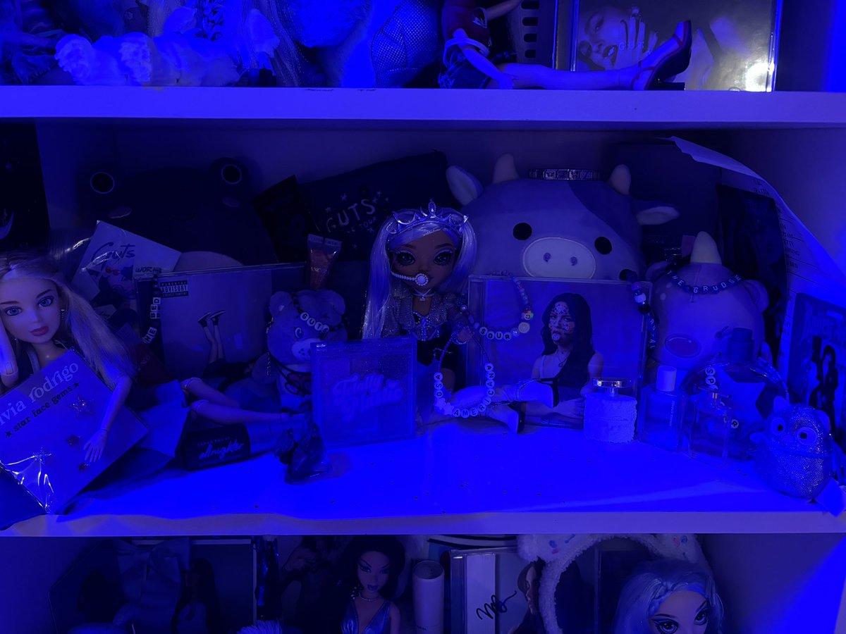 natisxn's tweet image. my little olivia shelf 💜💜💜 @LiviesHQ
