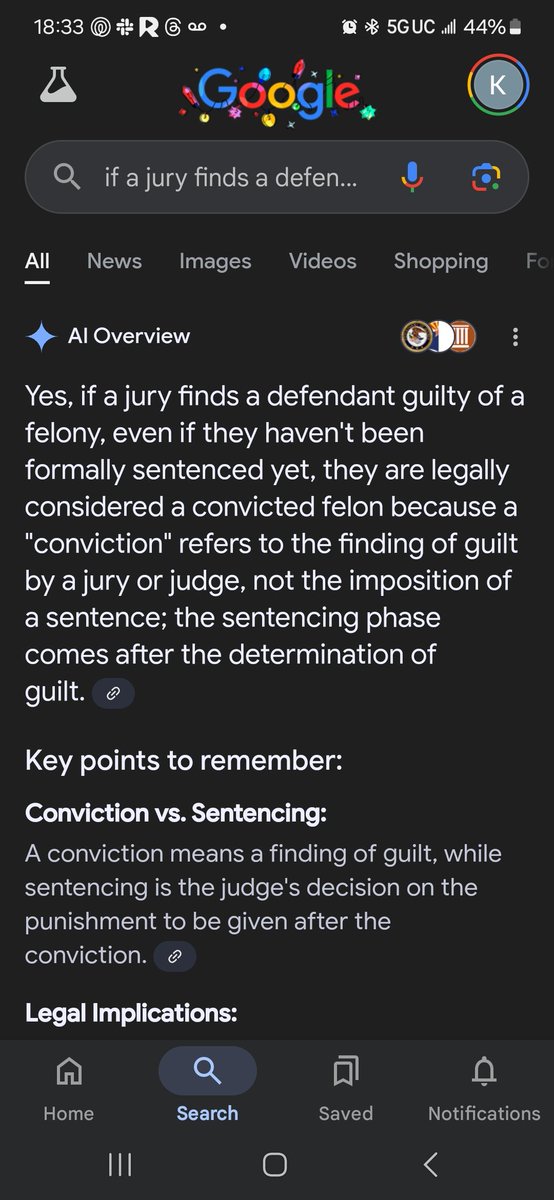 RuffoloKatie's tweet photo. @iNeo_G @mmpadellan He is a convicted felon https://t.co/51Zrj71qOa