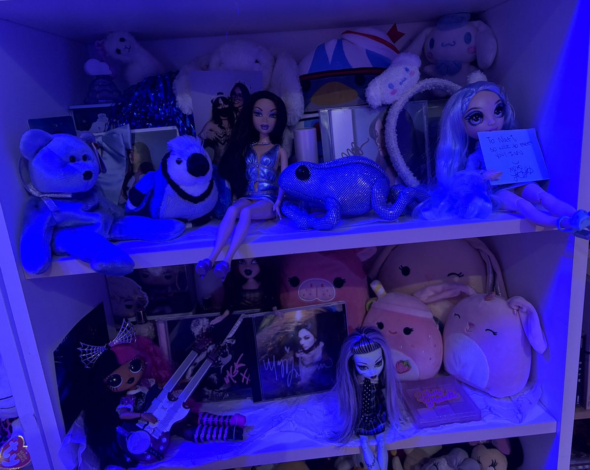 natisxn's tweet image. here are other shelves i completed it so hard sorting things and making them look cute and nice 😭