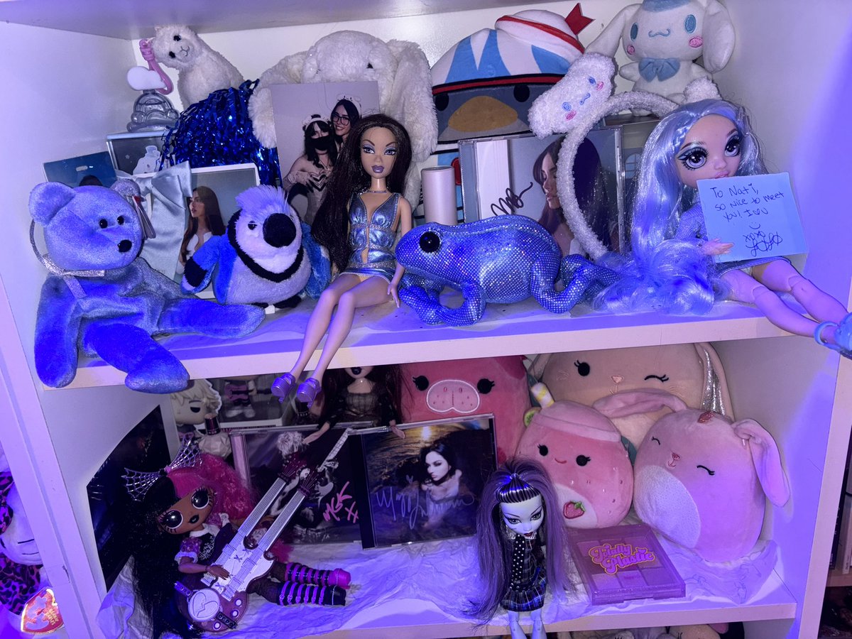 natisxn's tweet image. here are other shelves i completed it so hard sorting things and making them look cute and nice 😭