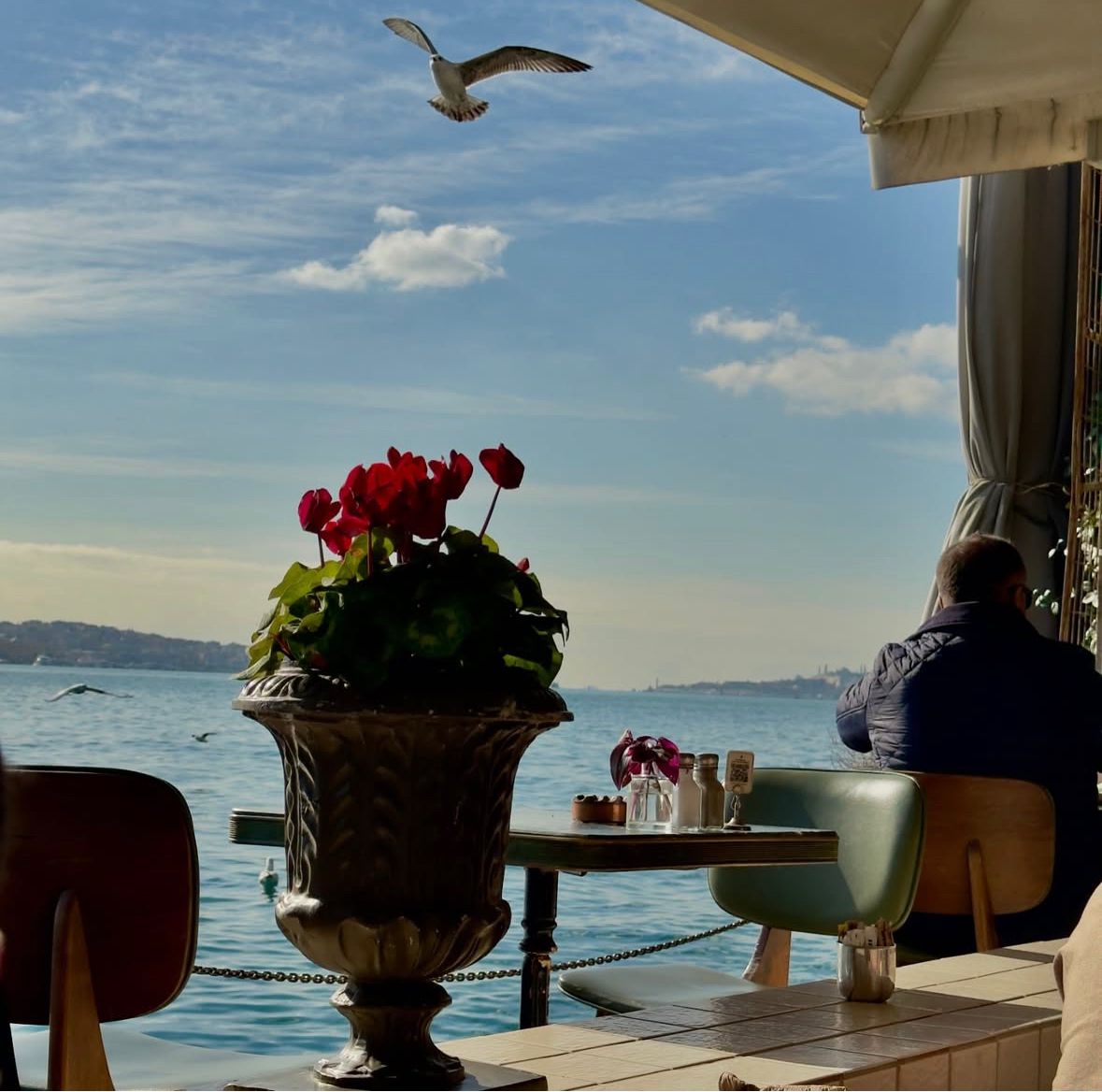 Robert Vesco olson (@robert_vesco_) on Twitter photo 