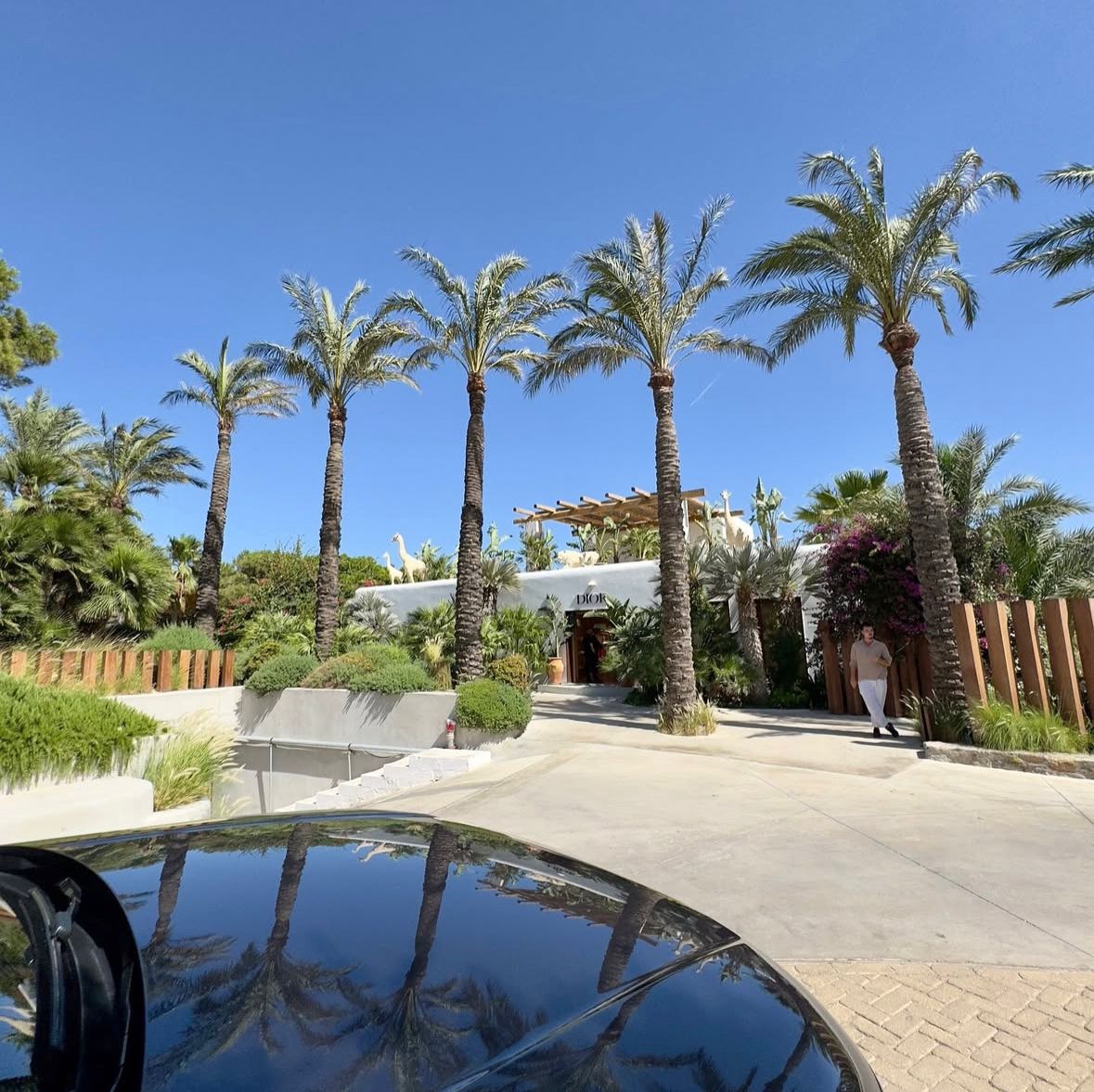 Robert Vesco olson (@robert_vesco_) on Twitter photo 