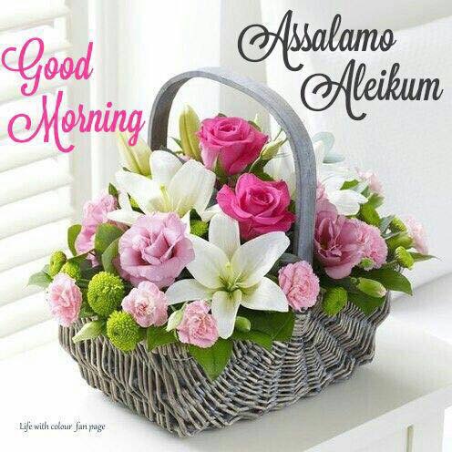 Ghulam Rasul Shahzad (@ghulamrasulshah) on Twitter photo 