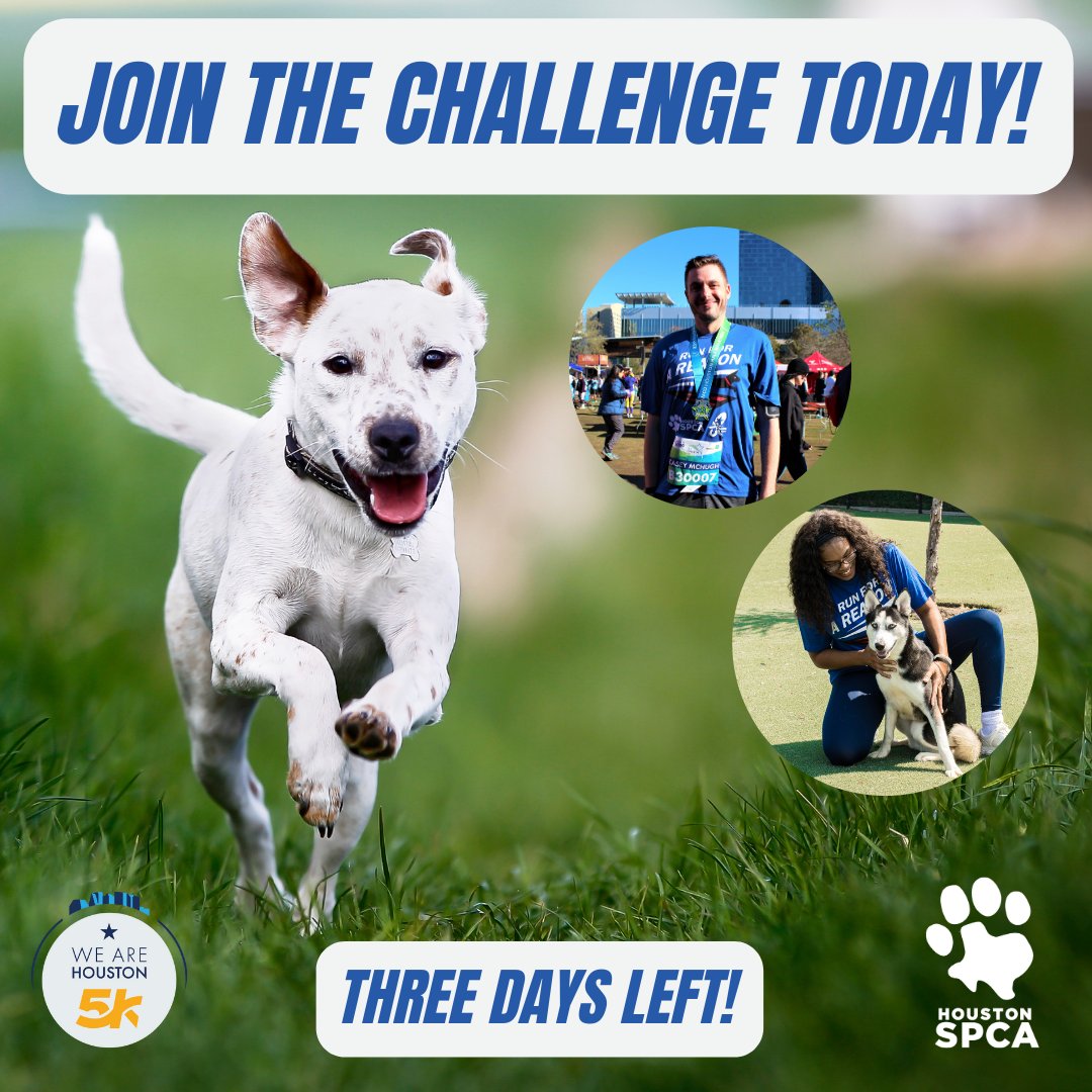 HoustonSPCA's tweet photo. ๐ Three days left of the Chevron Charity Challenge! ๐ Every dollar raised before December 13th helps support Team SPCA and the animals we save. Donate today at: https://t.co/n2nyRKbb1k โจ๐
#ChevronCharityChallenge #TeamHoustonSPCA #RunForAReason https://t.co/CAb21X7WAC