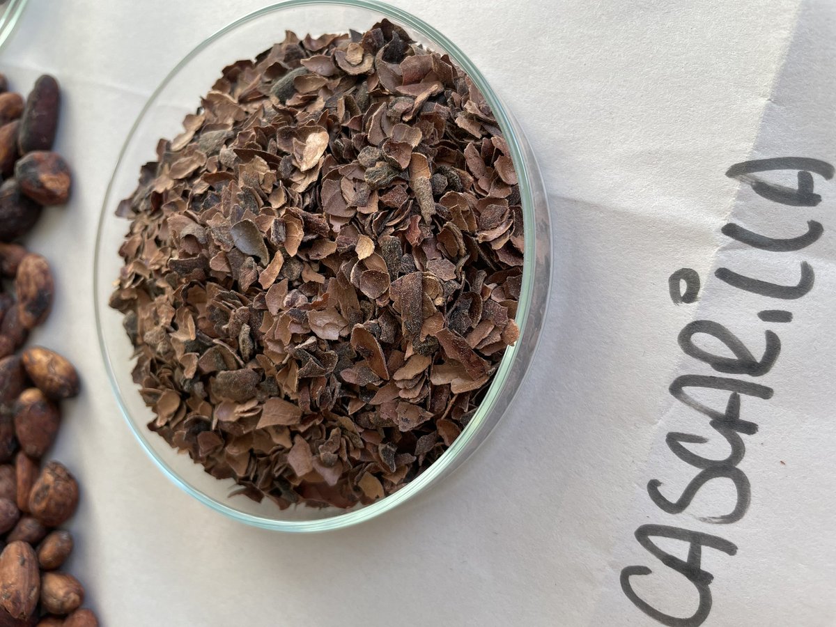 danicubu's tweet photo. 🔖Theobroma Cacao – Habas de cacao silvestre boliviano #Amazonia 

Gracias @ChocolateBaure por colaborarme en esto 😉 

Recolección Silvestre y Orgánica Certificada #EC y #NOP 📜

CacaoSalvaje #Alimentos #ProtecciónBiodiversidad
 #PracticasdeDesarrolloSostenible #ManosBolivianas https://t.co/caw1VsIIs2