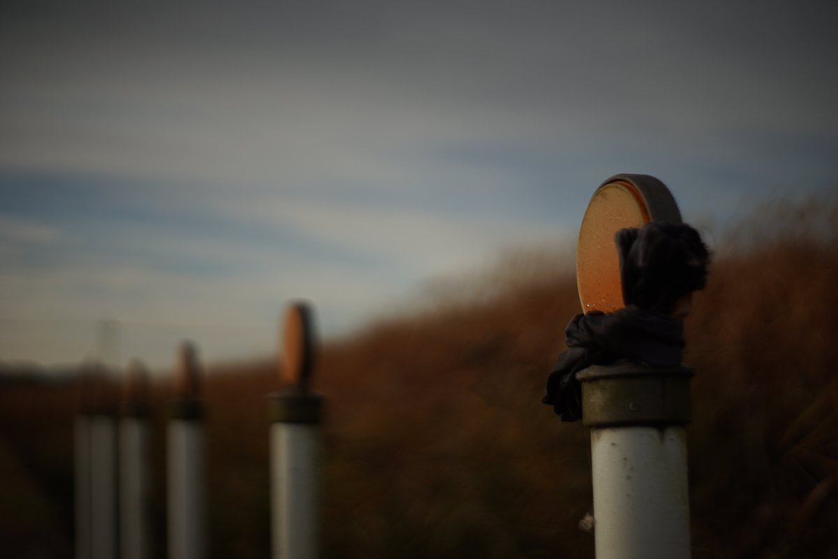 tune_h's tweet image. ペンタコンさんぽ@えりまき？
#α7II 
#pentacon
#pentaconauto50mmf18