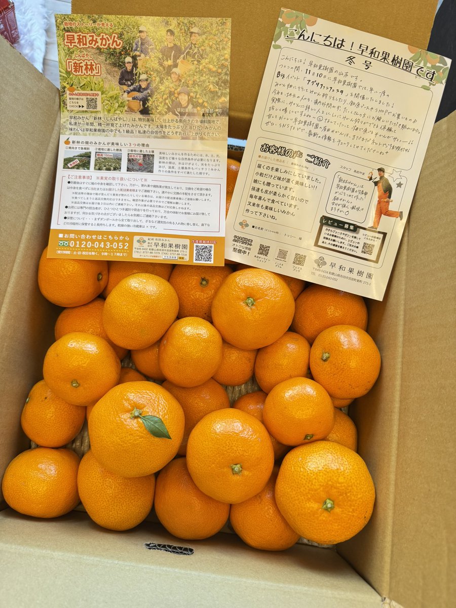 fs_uchiumi's tweet photo. @sowakajuen のみかんが届き朝からハッピーです🍊
実は私みかんとっても苦手だったんです。お仕事でこの新林のとれたてみかんをいただいて(とっても急斜面な農地)それはそれは美味しくて、大好きになり毎年予約購入してます🥺5kg1人でペロリ🫢美味しすぎるから早和果樹園様以外のみかん食べれない https://t.co/e3GvxHEwV4