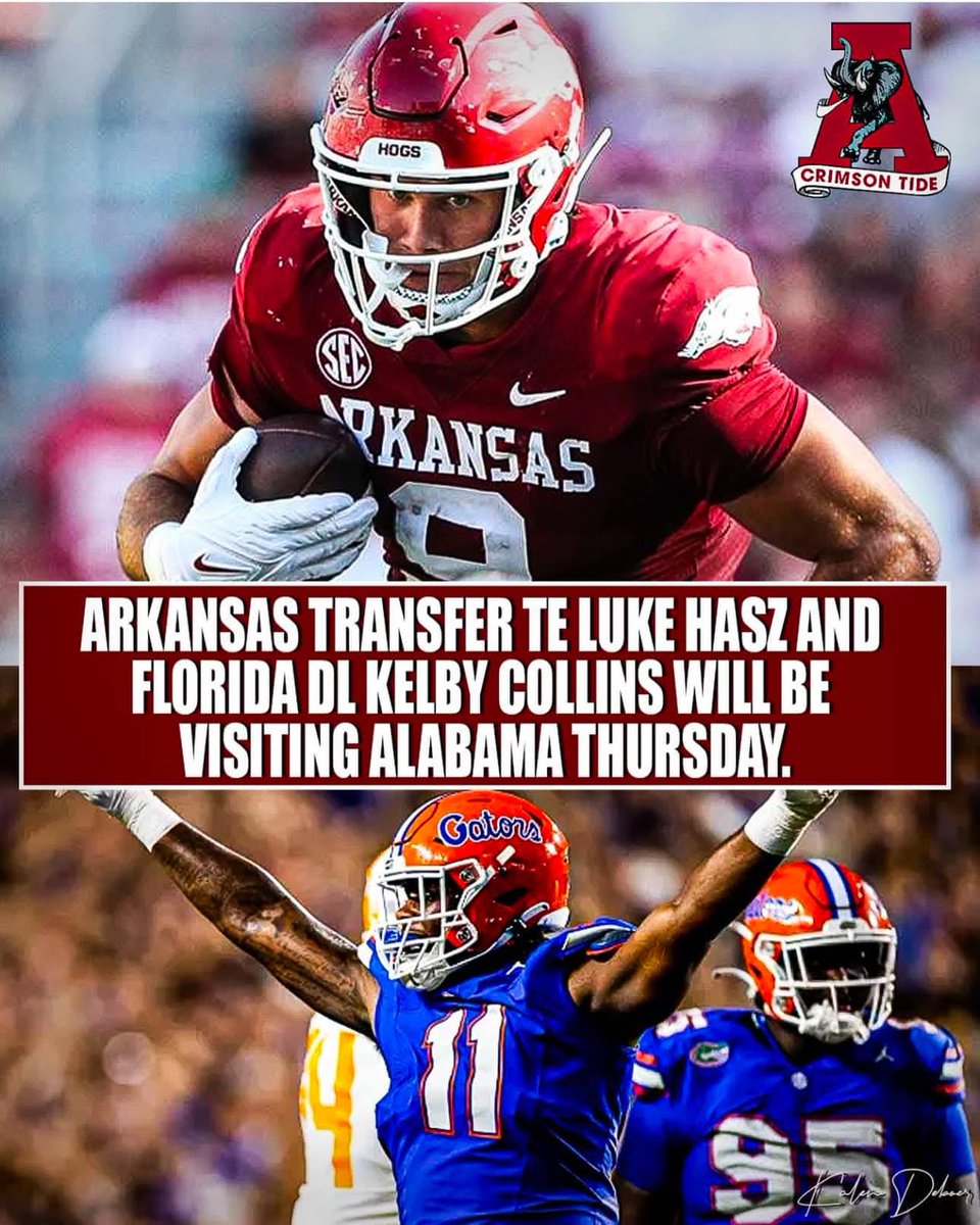 jerrysandersRTR's tweet photo. 🐘🌊🅰️ https://t.co/TrU04DjUZw