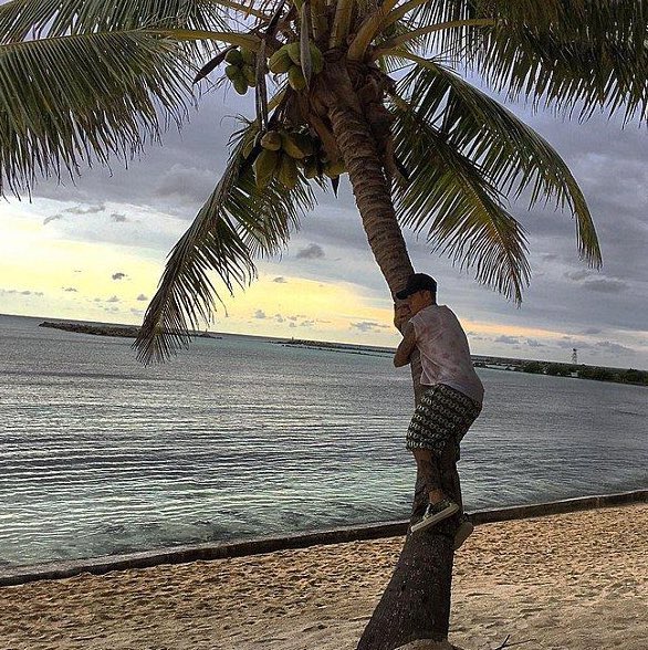 jarianartist's tweet photo. Faria qualquer atrocidade por esse instagrammer de volta https://t.co/HnIefc6HPT
