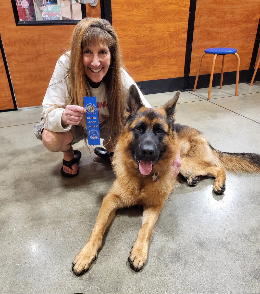 Congratulations to Maximus for earning his Canine Good Citizen (CGC) certificate today. We're so proud of you! 🧡 🐾🎗💜 #germanshepherd #canine #goodcitizen #CGC