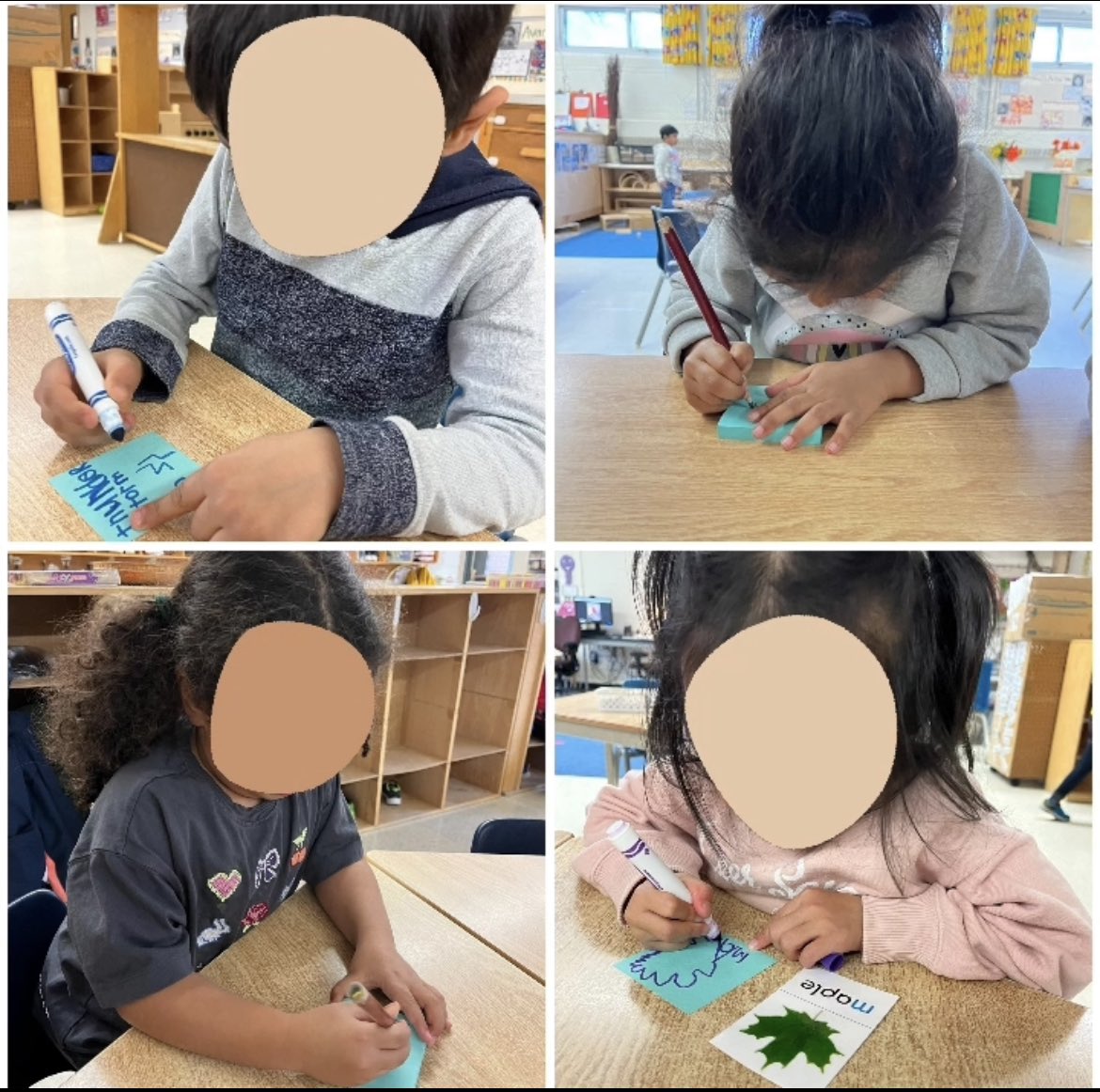 Ms.Persaud’s Falcons tweet media