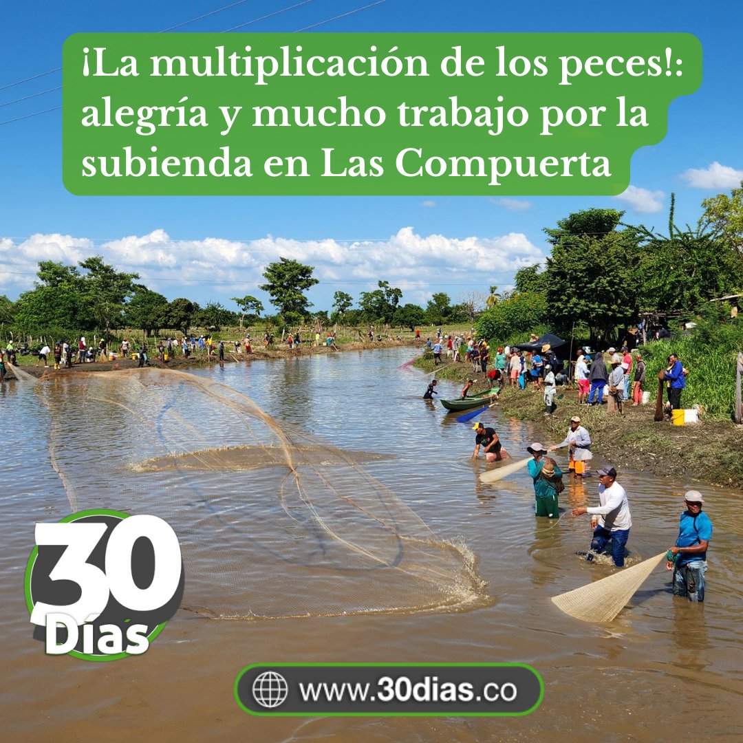 ACTUALIDAD ▶️
"Por estos días nadie pasará hambre", dice el pescador 'Orly' Figueroa al celebrar la subienda de arencas y barbules en el corregimiento de Las Compuertas, que atrae a centenares de lugareños del sur del Atlántico y poblaciones de Bolívar.

30dias.co/la-multiplicac…