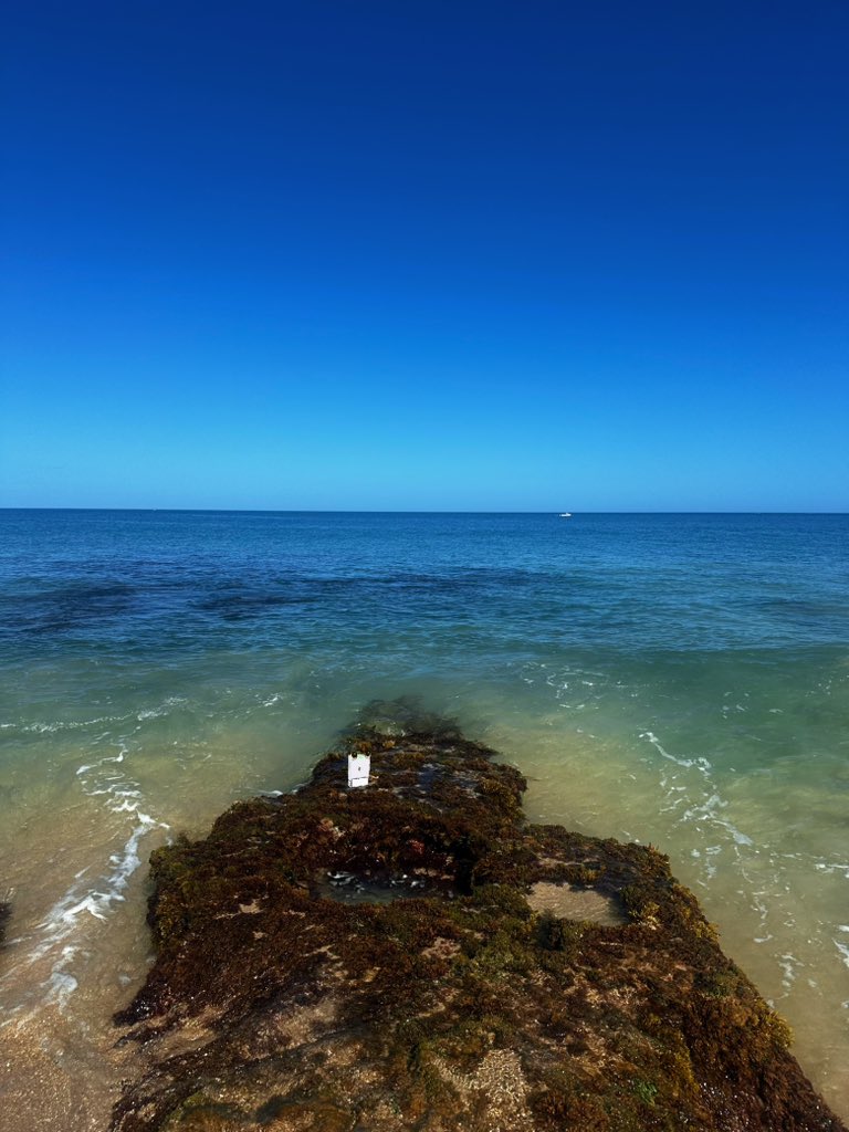 I sat in the sand with Pappachaga, we shared a clementine in the early morning heat. The sun prickled the back of my neck. “Where do we go from here?” I asked. “Into the waves” he replied around a mouthful of fruit flesh, “always, always into the waves”