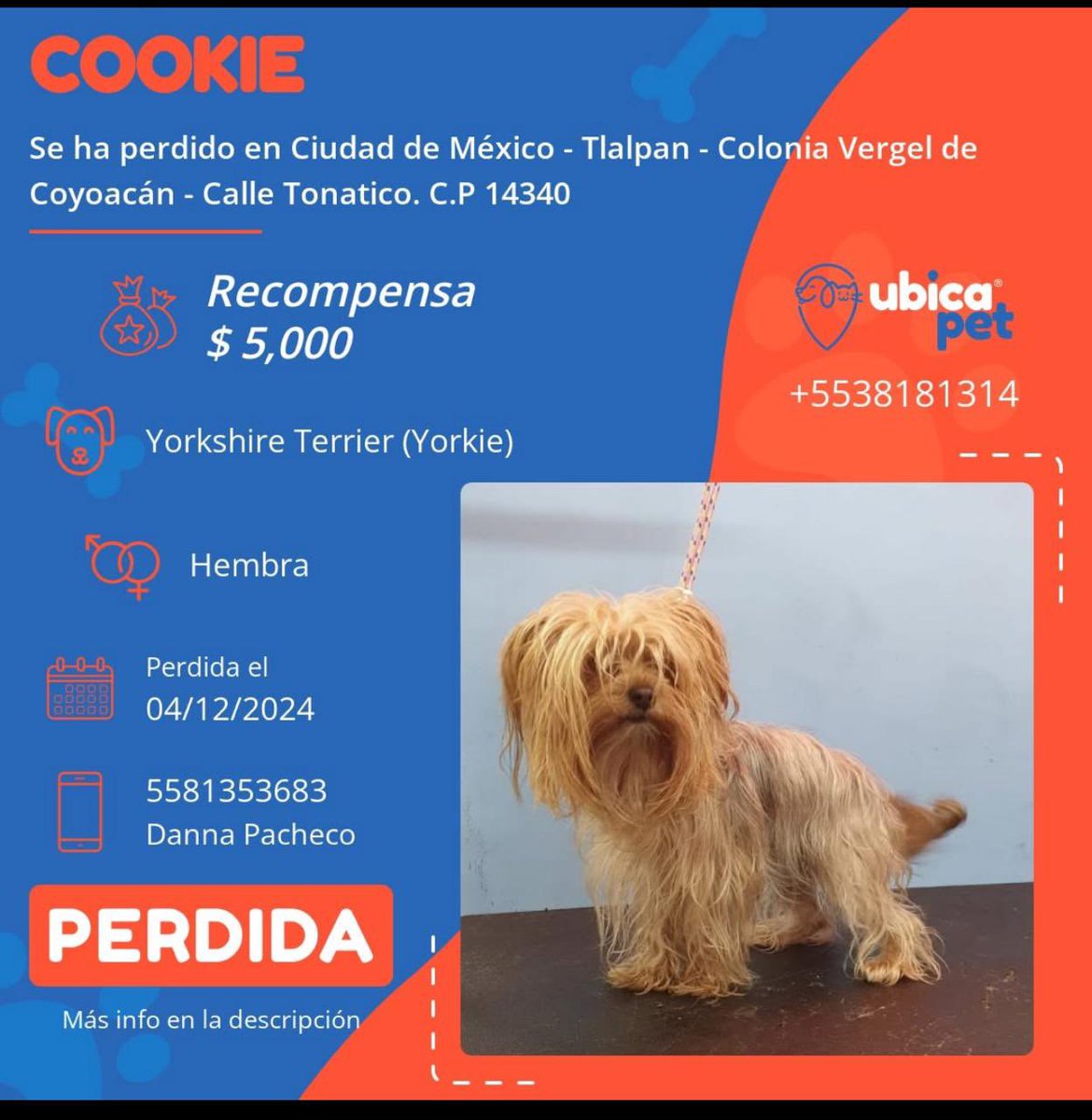 Armando Tell tweet media