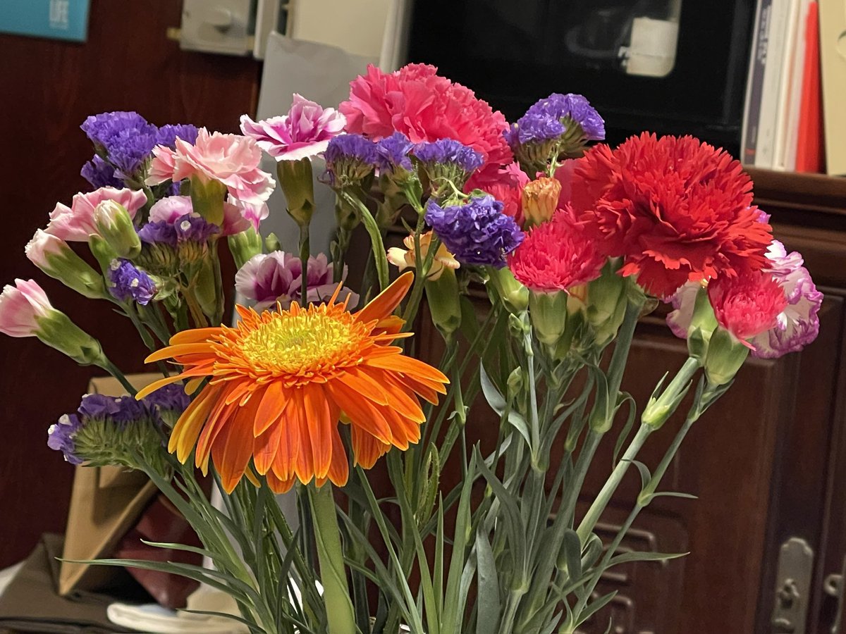 屋企冇花真係完全冇生氣，所以我屋企成日都有花㗎！