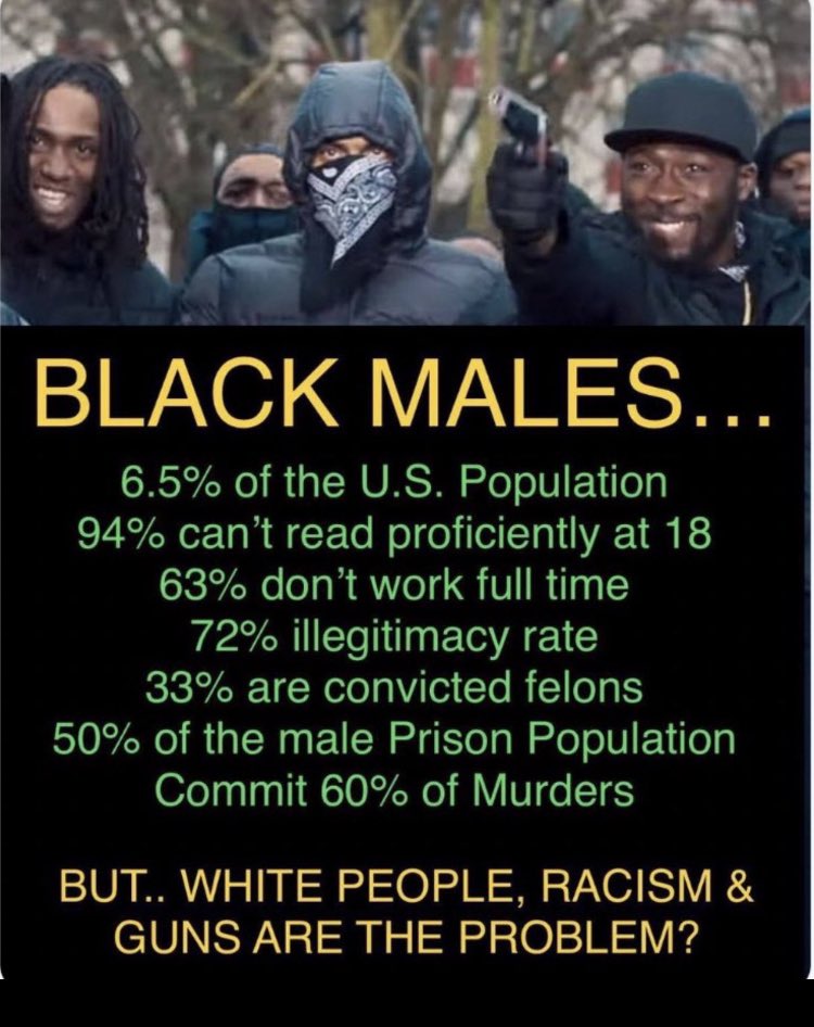 Daabears8554's tweet photo. @muchofmany2 @raygriffin3000 @Black_Action The facts speak for themselves bunch of fucking parasites. Nobody wants you in their neighborhoods nobody wants you in their State or their country. If every Nigga left American tomorrow we would have a 87% drop in crime across the board that’s a FACT. https://t.co/KQFQ2mrcUk