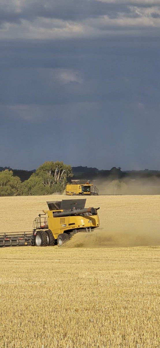 Daniel Barcelonna tweet media