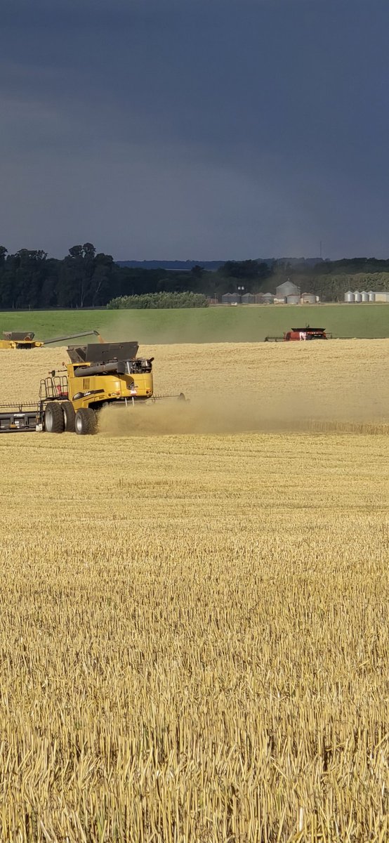 Daniel Barcelonna tweet media