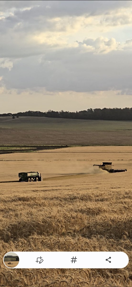 Daniel Barcelonna tweet media