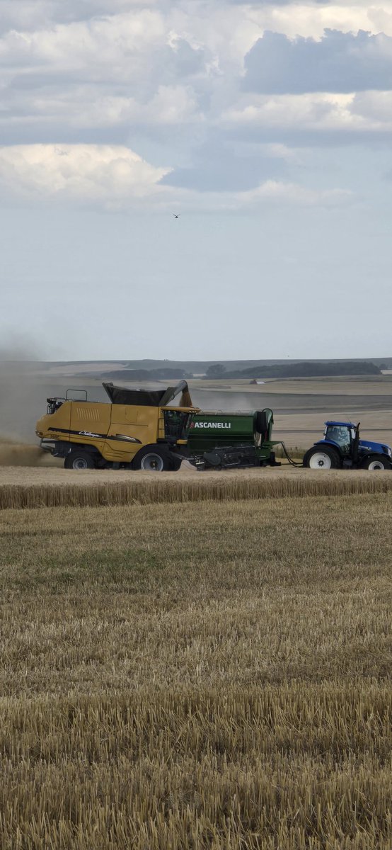 Daniel Barcelonna tweet media