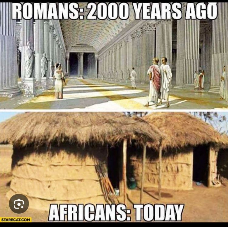 Daabears8554's tweet photo. @raygriffin3000 @Black_Action Nigga f it wasn’t for the white man you would still be chasing rattan with a sling. The extent of your weapons was a bow and arrow and we had fire arms, ships,  Navigation equipment , we were discovering new planets and medical treatment. Where were your people? https://t.co/BodY5R61lZ