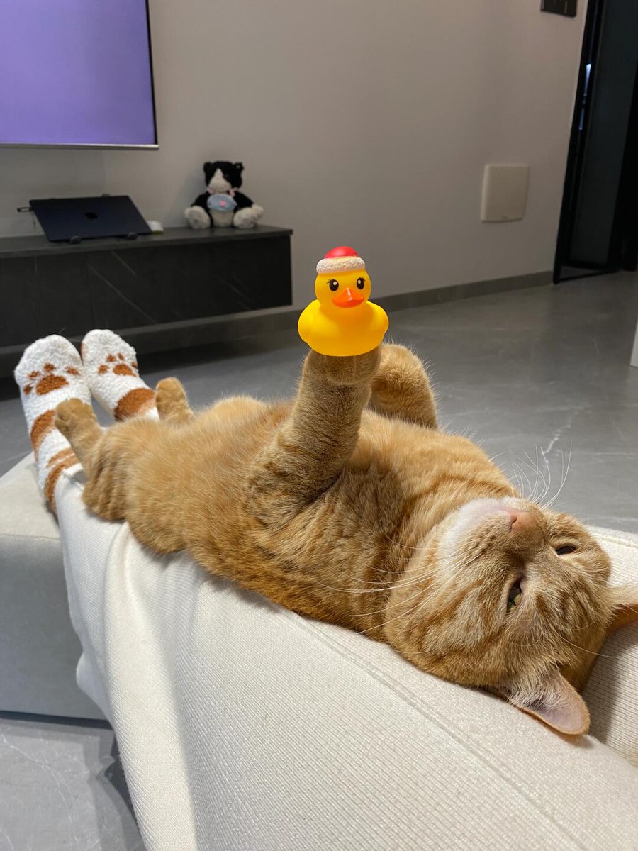 Li_Aman22's tweet photo. Your furry friend's happiness only needs a little toy! ๐ฑ๐ Make their everyday life more fun! ๐ฆข#Cat
#CatsOfInstagram
#Kitty
#CatLover
#Meow
#FluffyKitty
#SweetKitten
#CrazyCat
#CatMemes
#LazyCat
#SleepingCat
#CatsAtHome
#CatNap https://t.co/YWQmTCsGg4