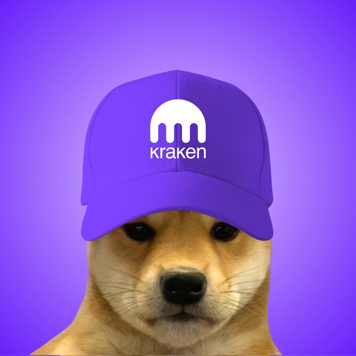 JAVARJ12's tweet photo. @krakenfx The hat stays on @krakenfx https://t.co/FyTa9gYgPi