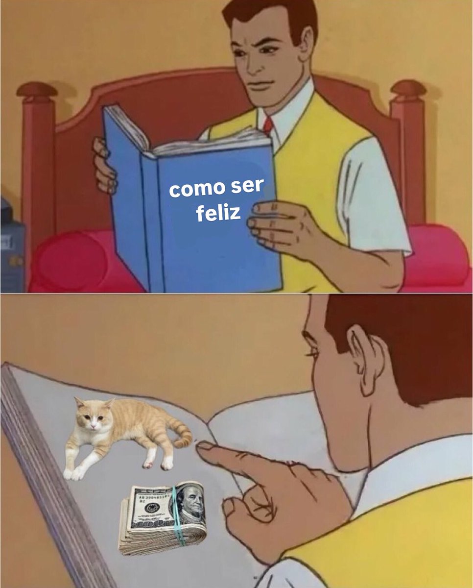 gatos fazendo gatices tweet media