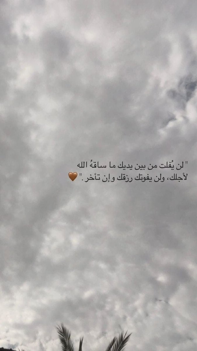 وَفِي السَّمَاءِ رِزْقُكُمْ وَمَا تُوعَدُونَ🤎..